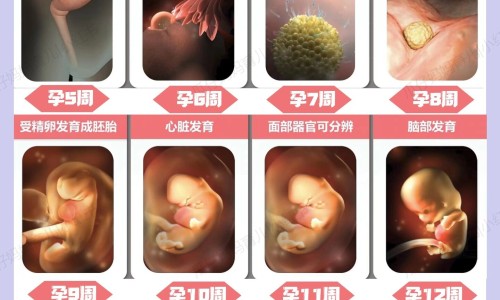 天泡草的功效与主治网天泡草能治疱疹吗知识网站,分享天泡草煮水洗澡的作用大全